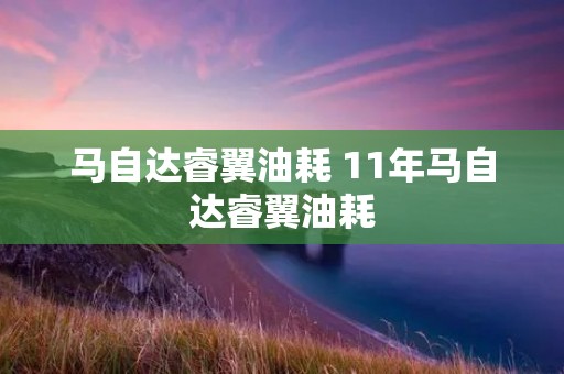 马自达睿翼油耗 11年马自达睿翼油耗