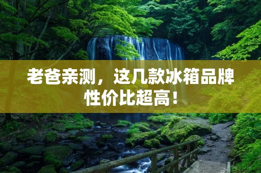 老爸亲测,这几款冰箱品牌性价比超高! 老爸亲测,这几款冰箱品牌性价比超高!