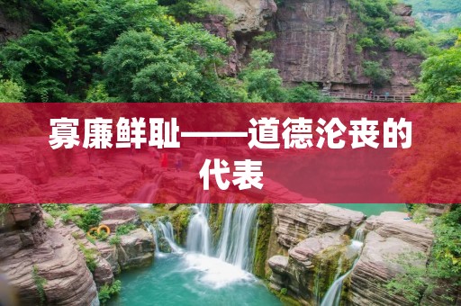 寡廉鲜耻——道德沦丧的代表