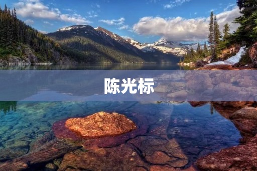陈光标：从跳水选手到教练的传承之路