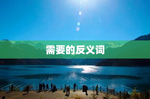 需要的反义词：不需要的，无用的，多余的