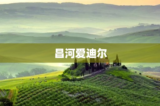 昌河爱迪尔：打造高品质汽车的中国智造