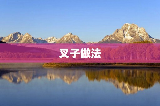 叉子做法：一份美味与创意的享受