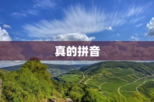 真的拼音：用心打造中文拼音标准