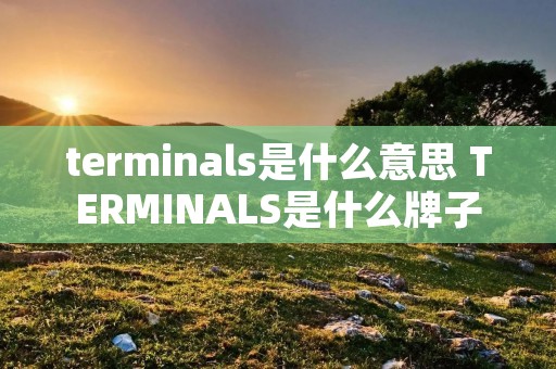 terminals是什么意思 TERMINALS是什么牌子 terminals是什么意思 TERMINALS是什么牌子