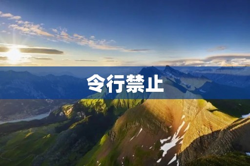 令行禁止：打击非法网络交易的必要性与挑战