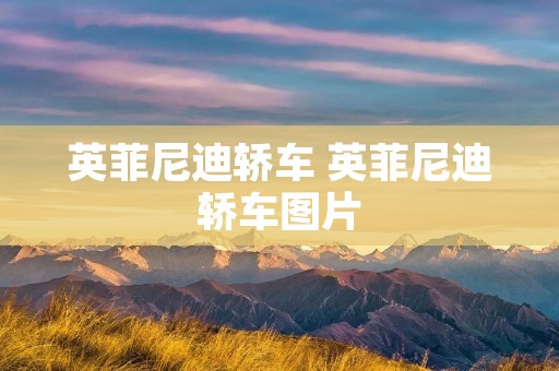 英菲尼迪轿车 英菲尼迪轿车图片