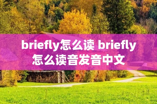 briefly怎么读 briefly怎么读音发音中文
