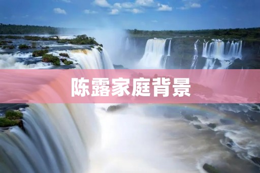 陈露家庭背景：从家庭环境到职业生涯的影响