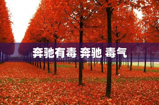 奔驰有毒 奔驰 毒气 奔驰有毒 奔驰 毒气