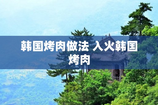 韩国烤肉做法 入火韩国烤肉