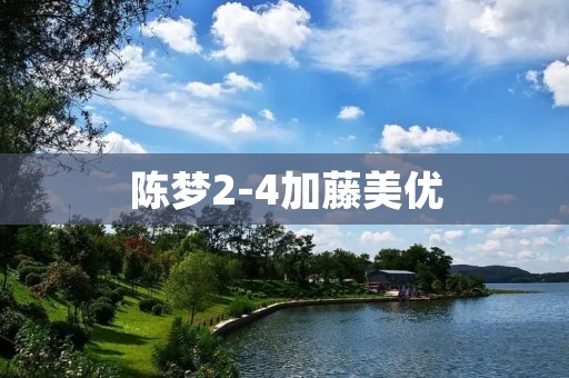 陈梦2-4加藤美优：中国女乒新一代领军人物的崛起