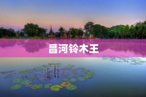 昌河铃木王:中国汽车行业的一匹黑马 昌河铃木王:中国汽车行业的一匹黑马