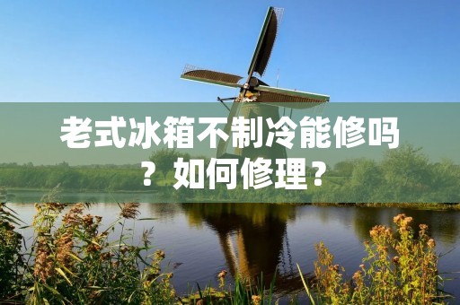 老式冰箱不制冷能修吗?如何修理? 老式冰箱不制冷能修吗?如何修理?