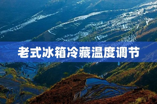 老式冰箱冷藏温度调节:如何让食物保鲜更长久? 老式冰箱冷藏温度调节:如何让食物保鲜更长久?
