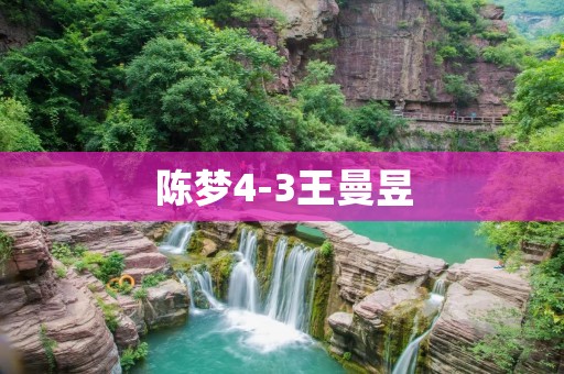 陈梦4-3王曼昱:激烈的女子乒乓球比赛 陈梦4-3王曼昱:激烈的女子乒乓球比赛