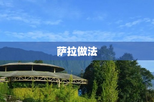 萨拉做法：让你轻松做出美味的蛋糕