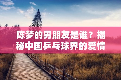 陈梦的男朋友是谁？揭秘中国乒乓球界的爱情故事
