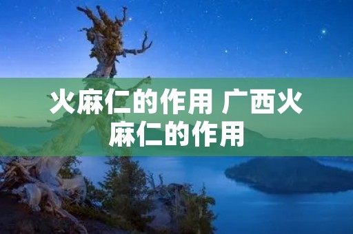 火麻仁的作用 广西火麻仁的作用