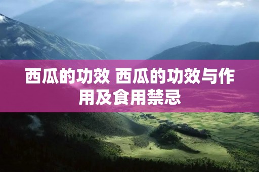 西瓜的功效 西瓜的功效与作用及食用禁忌