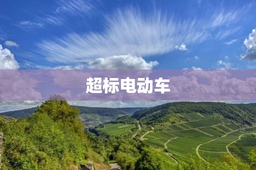 超标电动车:路上的“毒瘤” 超标电动车:路上的“毒瘤”