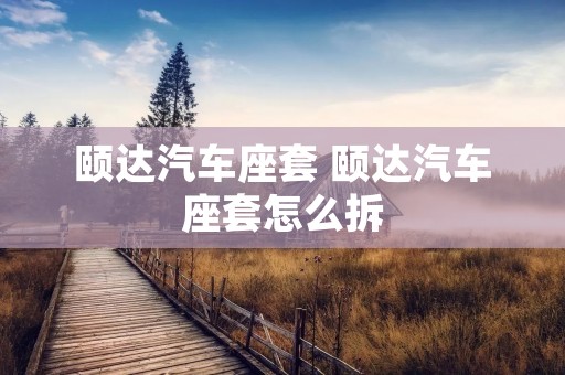 颐达汽车座套 颐达汽车座套怎么拆