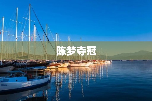 陈梦夺冠：女乒新星的崛起