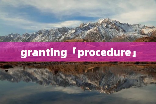 granting「procedure」