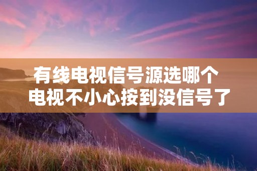 有线电视信号源选哪个 电视不小心按到没信号了怎么办