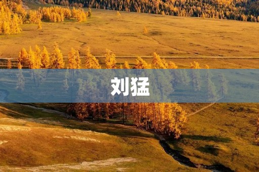 刘猛:中国计算机科学家的杰出代表