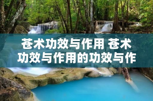苍术功效与作用 苍术功效与作用的功效与作用及禁忌症