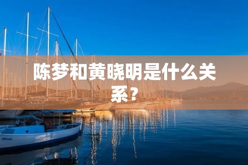 陈梦和黄晓明是什么关系? 陈梦和黄晓明是什么关系?