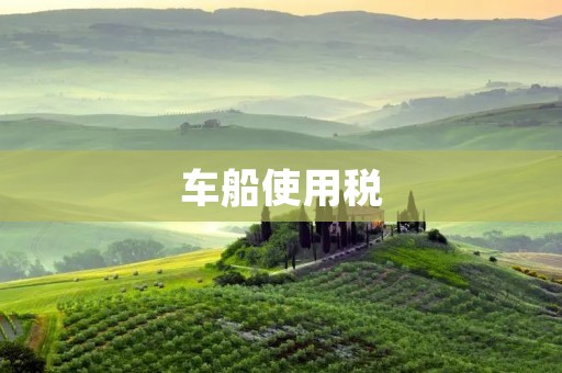 车船使用税:税负重担与社会责任 车船使用税:税负重担与社会责任