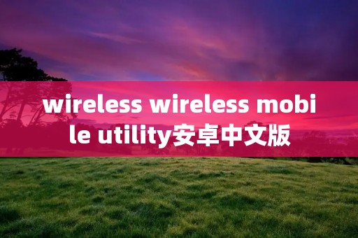 wireless wireless mobile utility安卓中文版