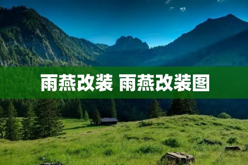 雨燕改装 雨燕改装图 雨燕改装 雨燕改装图