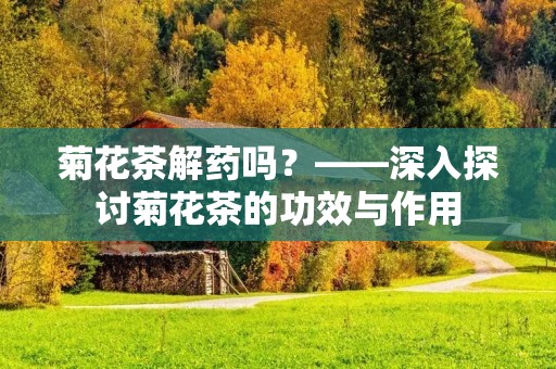 菊花茶解药吗？——深入探讨菊花茶的功效与作用
