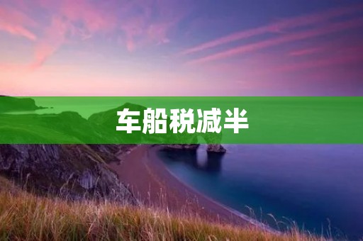 车船税减半：让驾车出行更加便捷