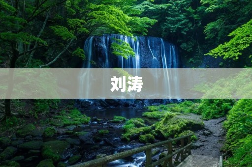 刘涛:演艺圈中的“女神”