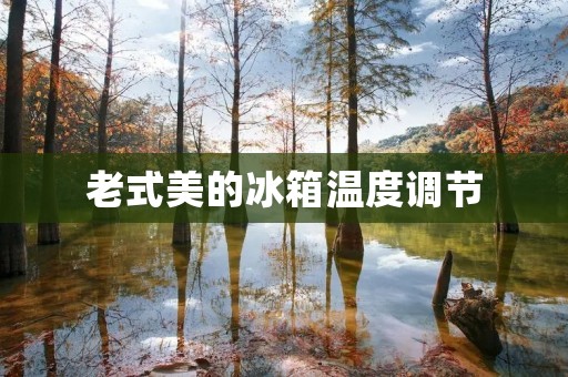 老式美的冰箱温度调节:详细说明 老式美的冰箱温度调节:详细说明