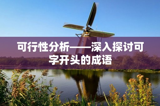可行性分析——深入探讨可字开头的成语