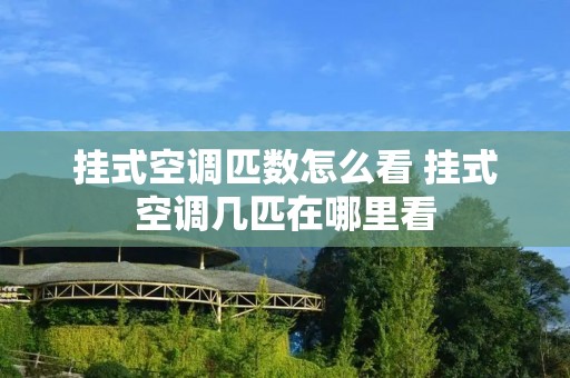 挂式空调匹数怎么看 挂式空调几匹在哪里看 挂式空调匹数怎么看 挂式空调几匹在哪里看