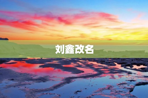 刘鑫改名：一个人的身份认同与价值观转变