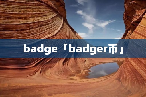 badge「badger币」