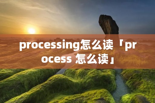 processing怎么读「process 怎么读」