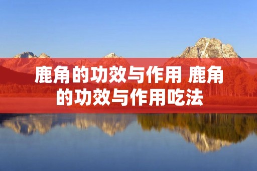鹿角的功效与作用 鹿角的功效与作用吃法