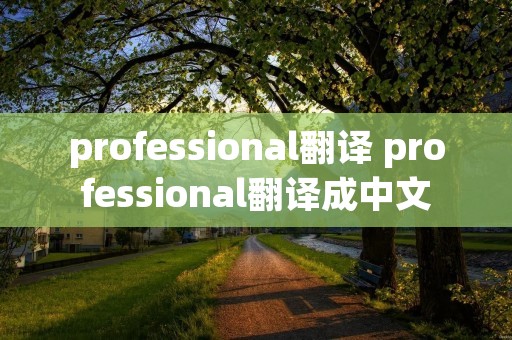professional翻译 professional翻译成中文