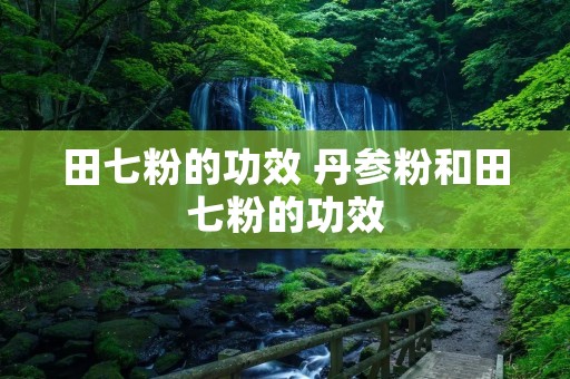 田七粉的功效 丹参粉和田七粉的功效