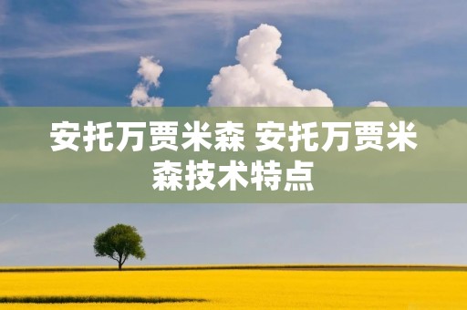 安托万贾米森 安托万贾米森技术特点