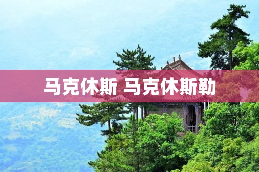 马克休斯 马克休斯勒 马克休斯 马克休斯勒