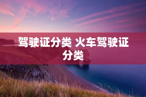 驾驶证分类 火车驾驶证分类